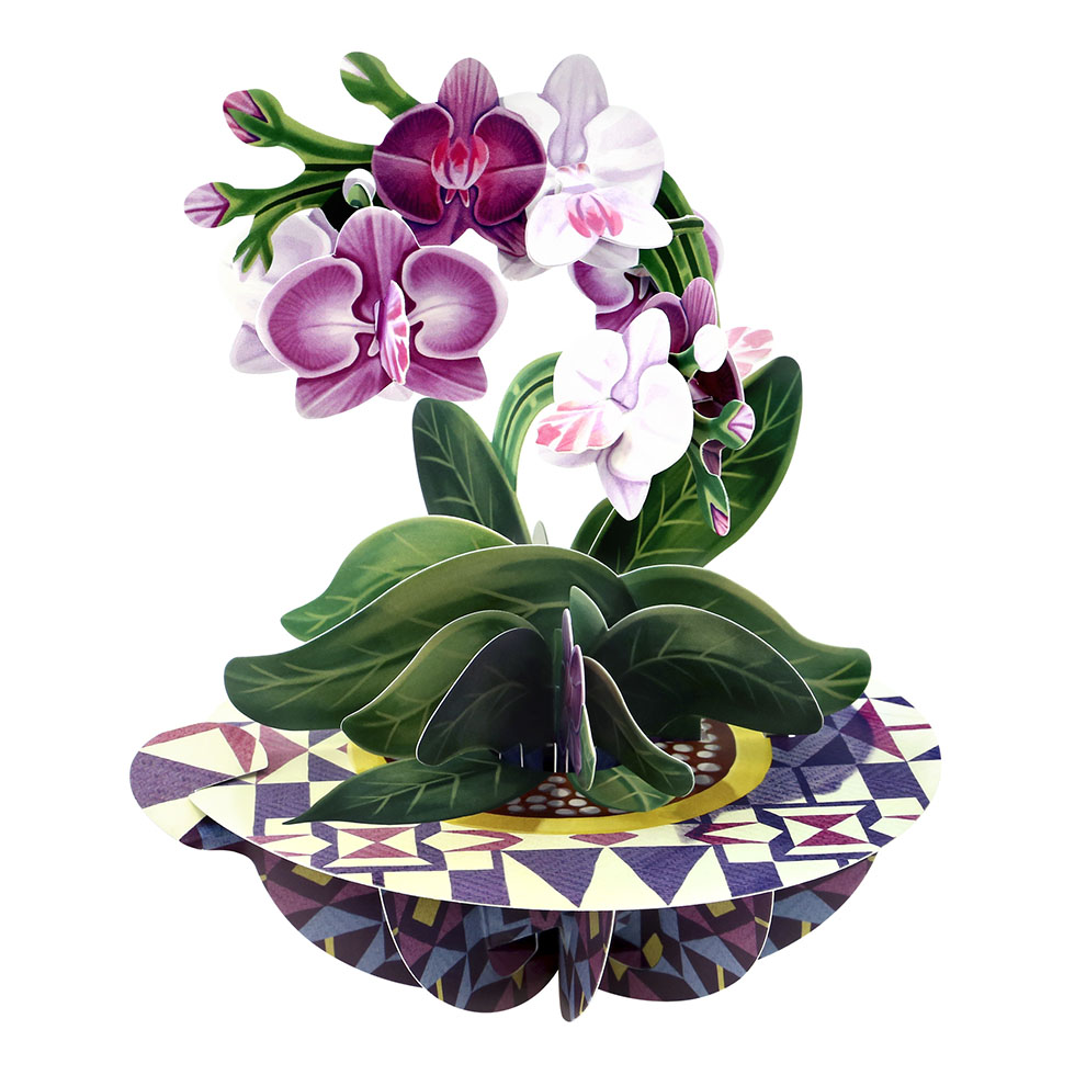 CARNET PIROUETTE 3 D  ORCHIDEES