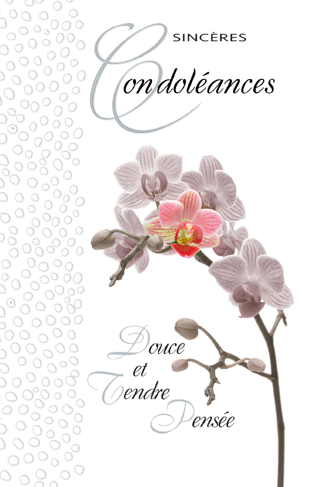  CI CONDO 12*17  POMMIER DU JAPON DOR.ARGENT /GAUF