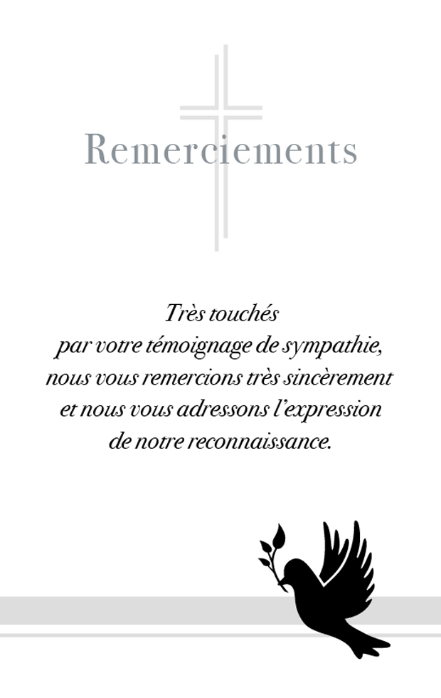 REMERCIEMENTS COLOMBE dorure argent