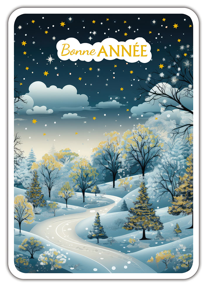 CARNET JARDIN D'HIVER NEIGE BLEUE