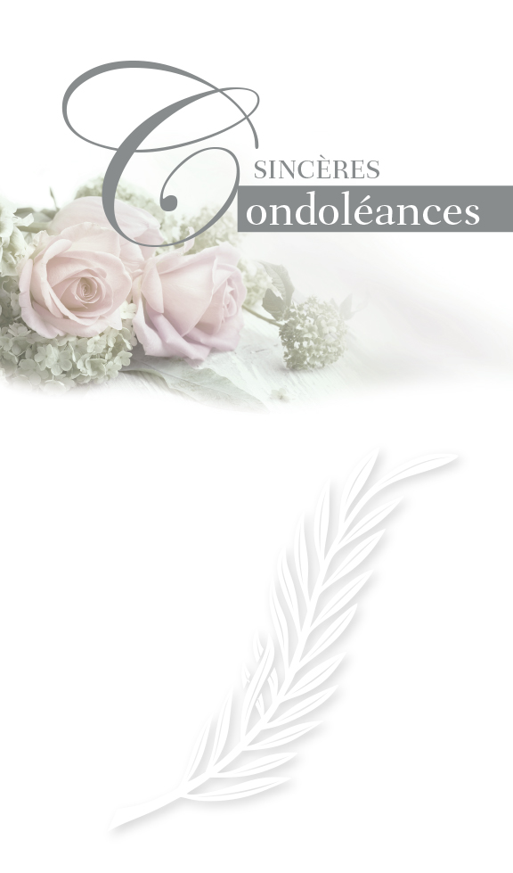 CI CONDO PASTEL  dorure argent   9 x 17 cm