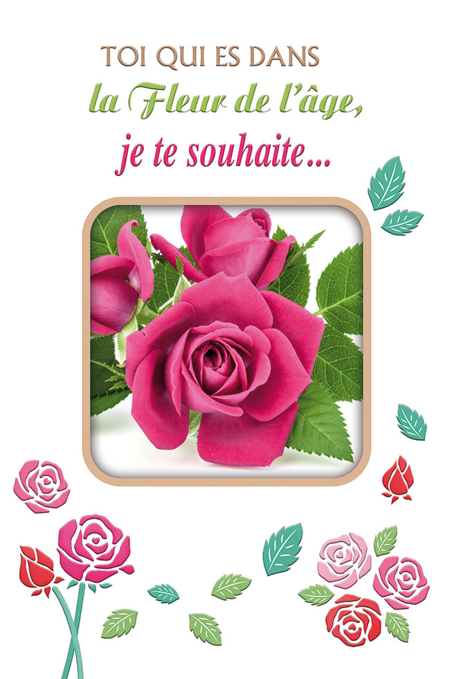 MON AMIE LA ROSE