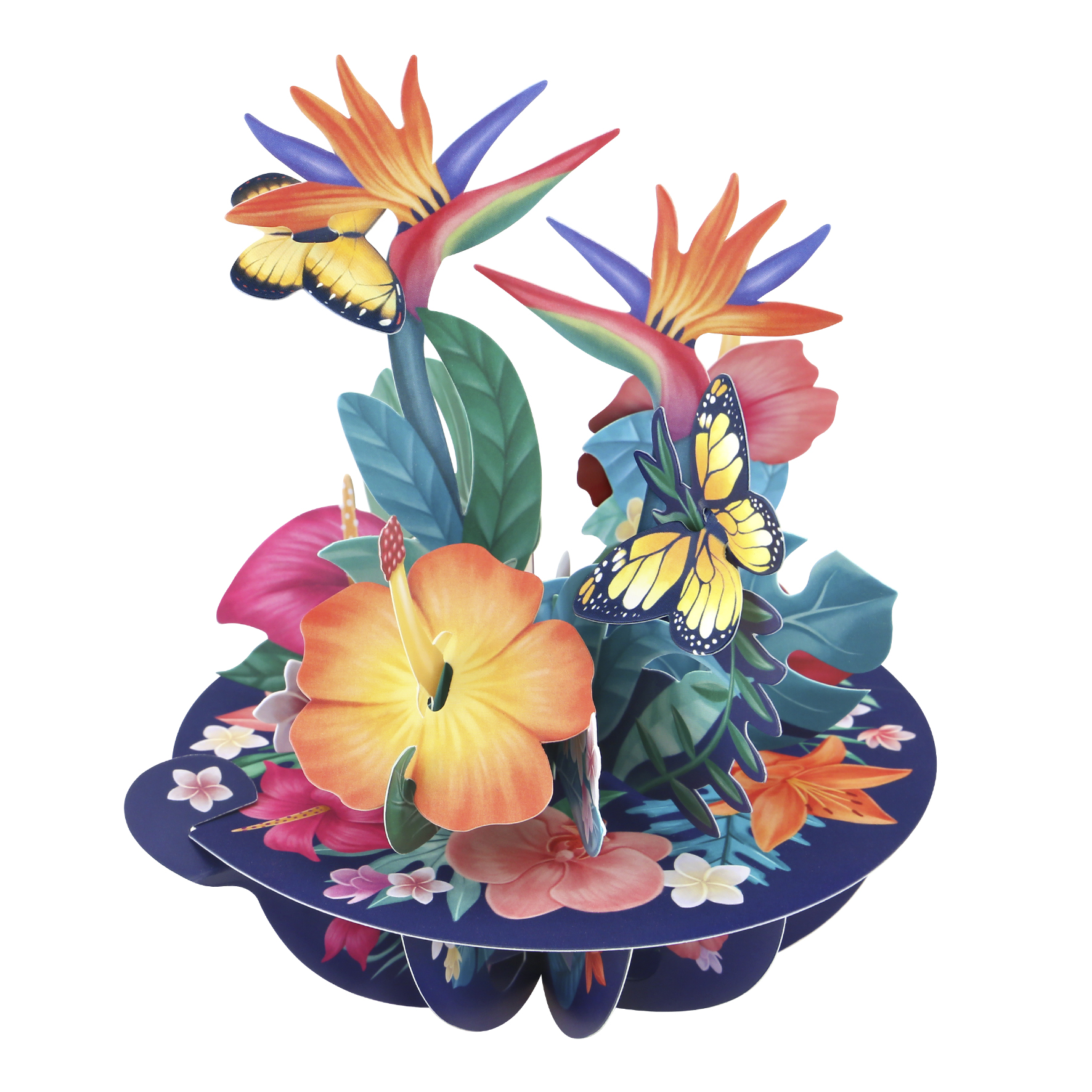 CARNET PIROUETTE 3 D OISEAU DE PARADIS