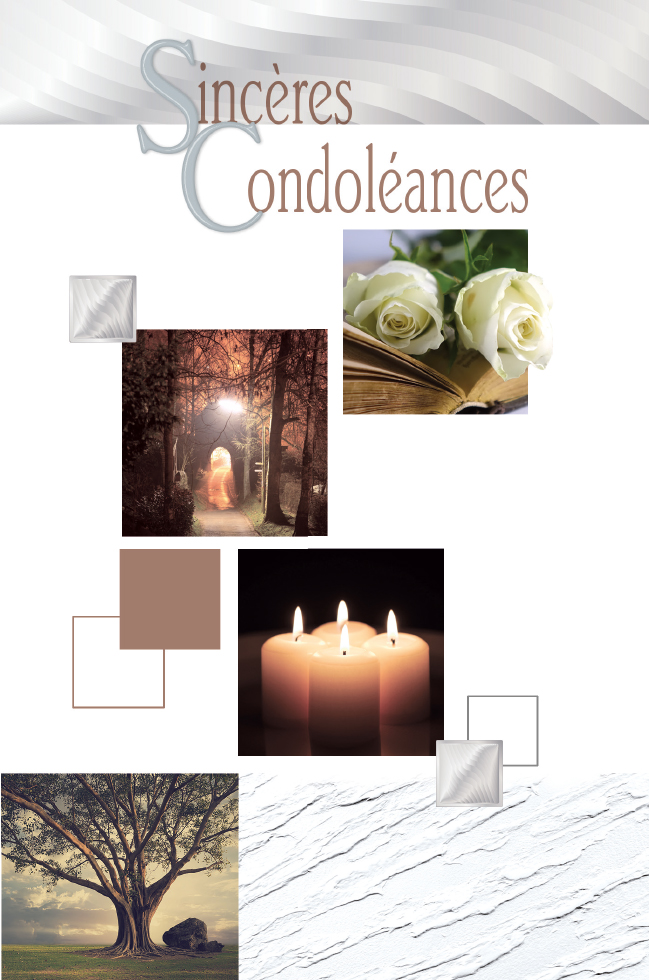  CI CONDO 12*17  MULTI PHOTOS DOR.ARGENT /GAUF