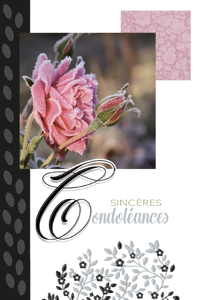  CI CONDO 12*17   ROSES DOR.ARGENT /GAUF