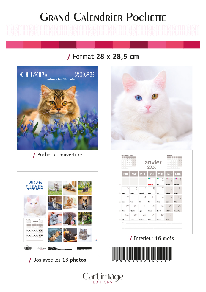 CALENDRIER POCHETTE CHAT 28 X 28.5 CM