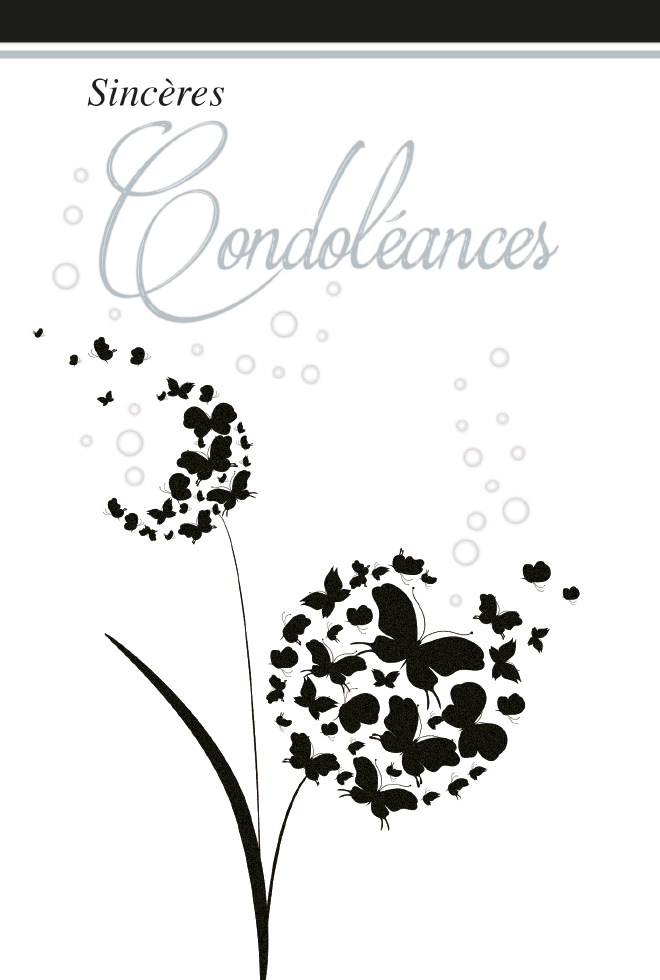  CI CONDO 12*17   DOR.ARGENT /GAUF