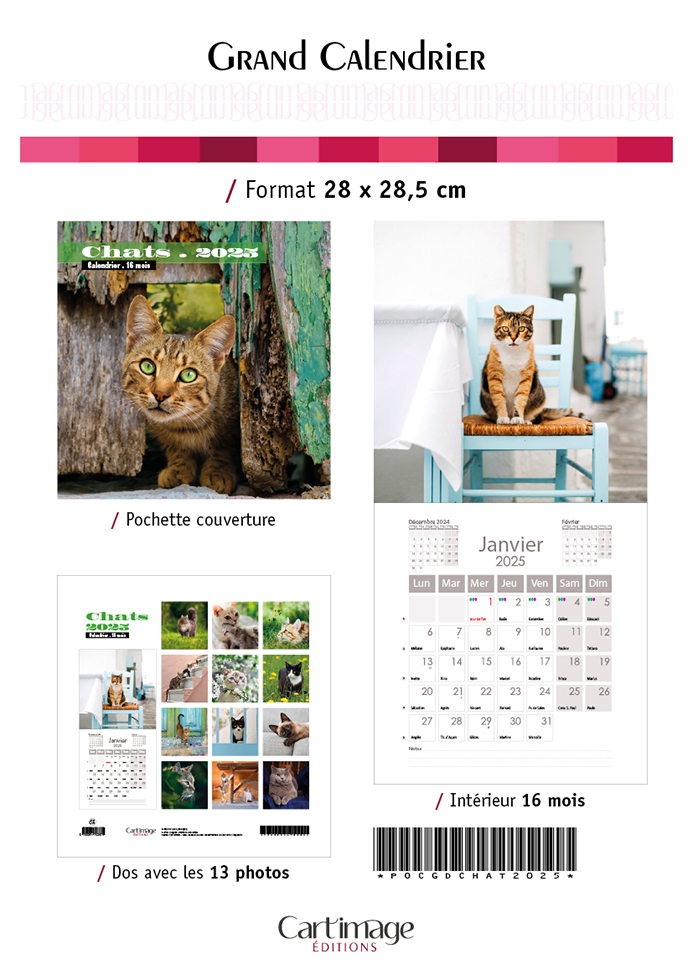 CALENDRIER POCHETTE CHAT 28 X 28.5 CM