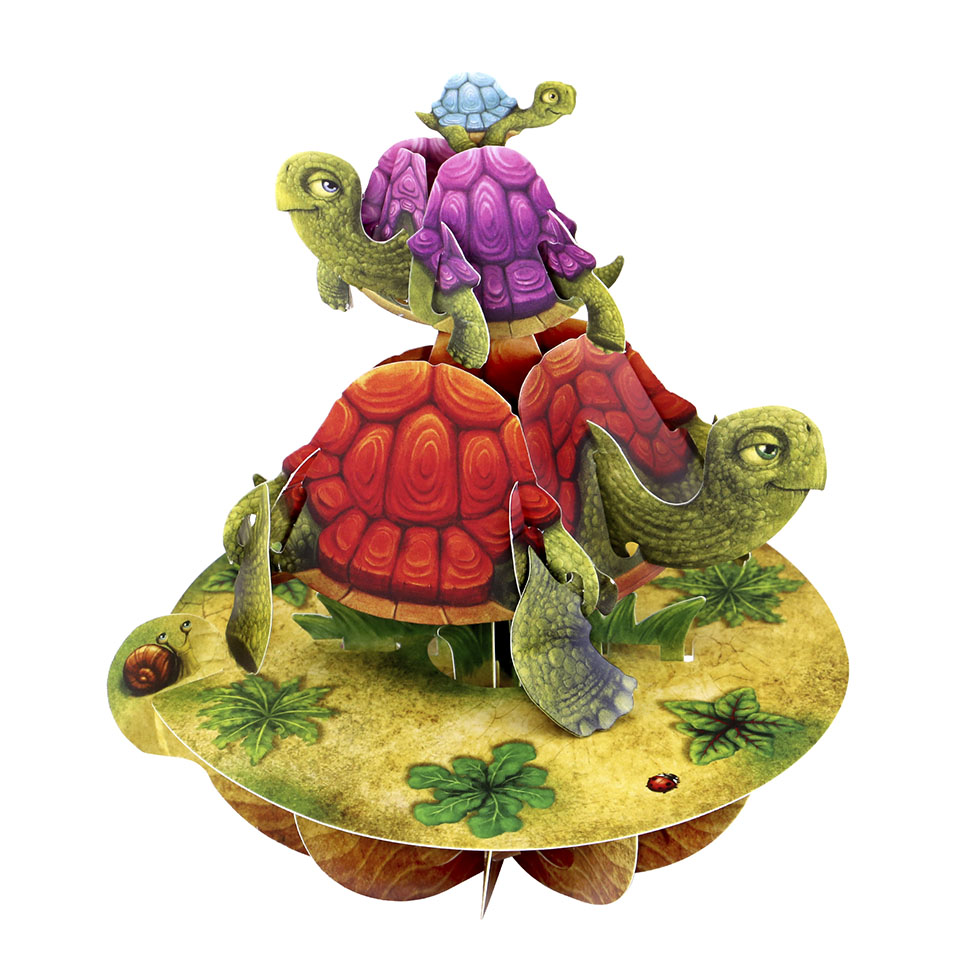 CARNET PIROUETTE 3 D    TORTUES