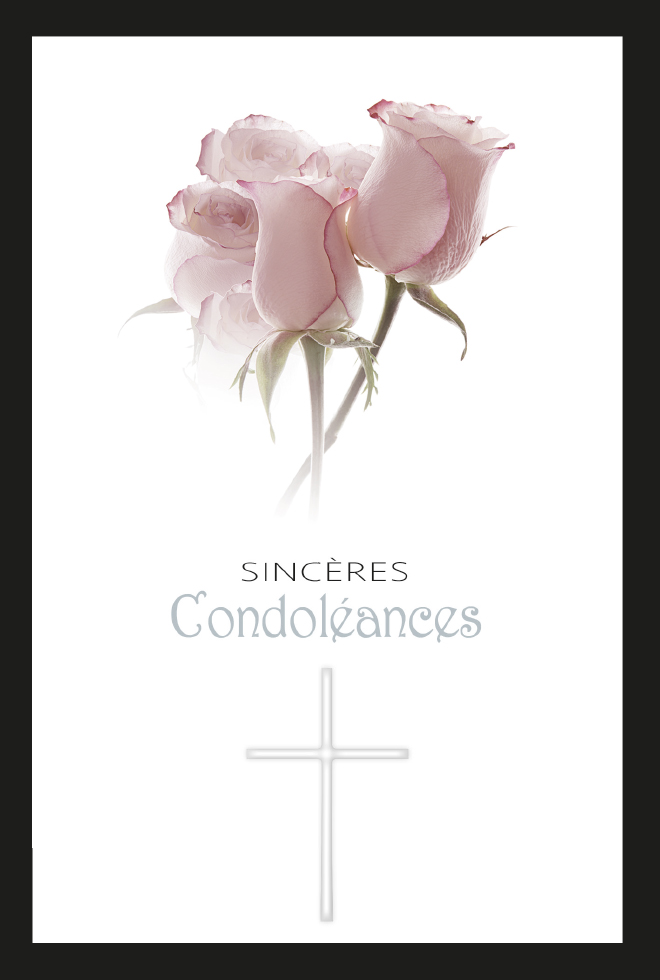  CI CONDO 12*17  EPIS DE BLES DOR.ARGENT /GAUF