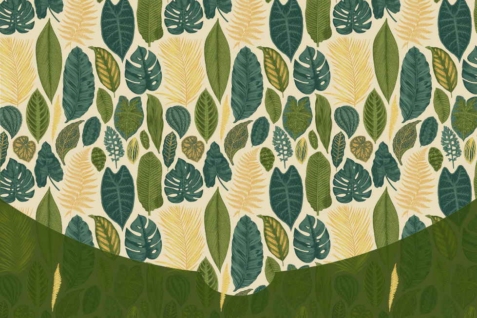 Porte billet For You  Sans texte