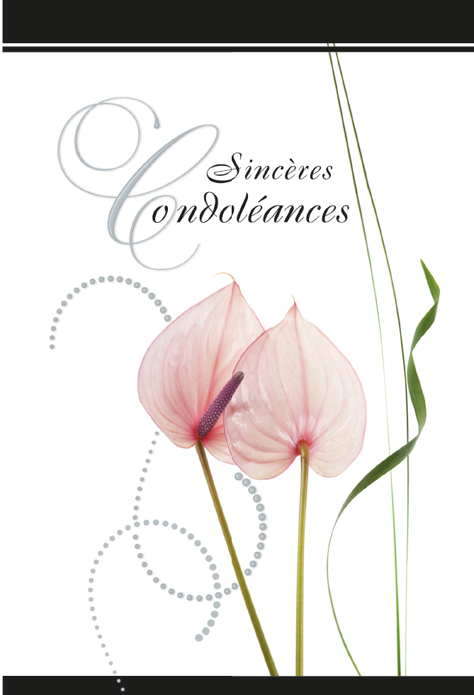  CI CONDO 12*17  FLEURS ROSES DOR.ARGENT /GAUF