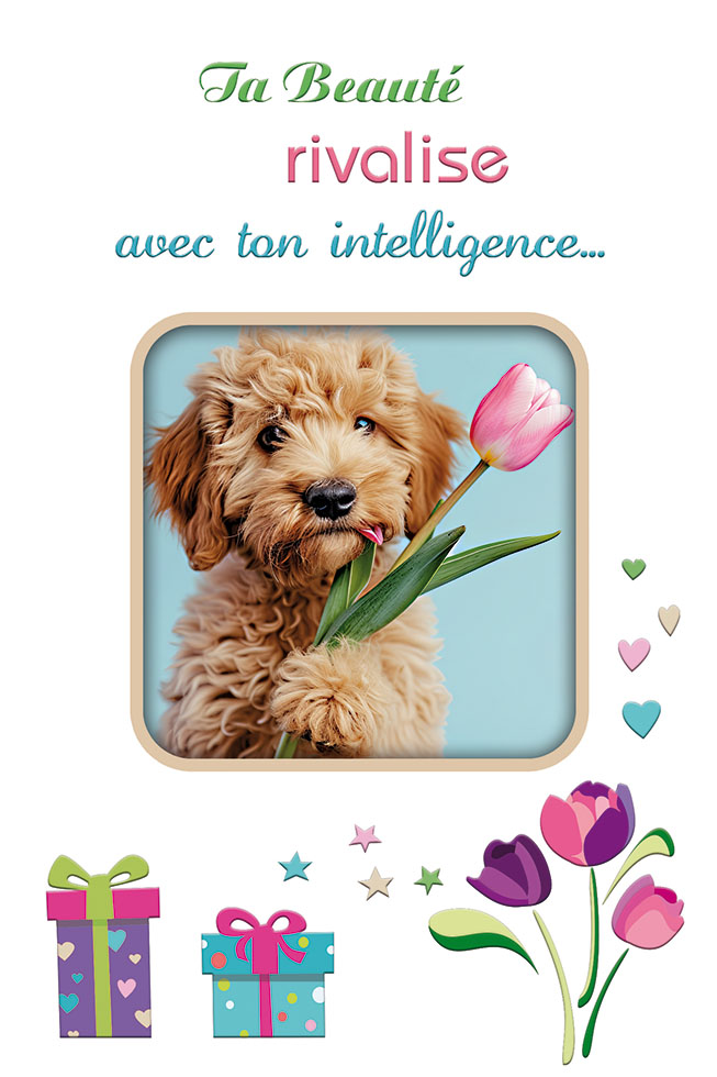 BEAUTE ET INTELLIGENCE