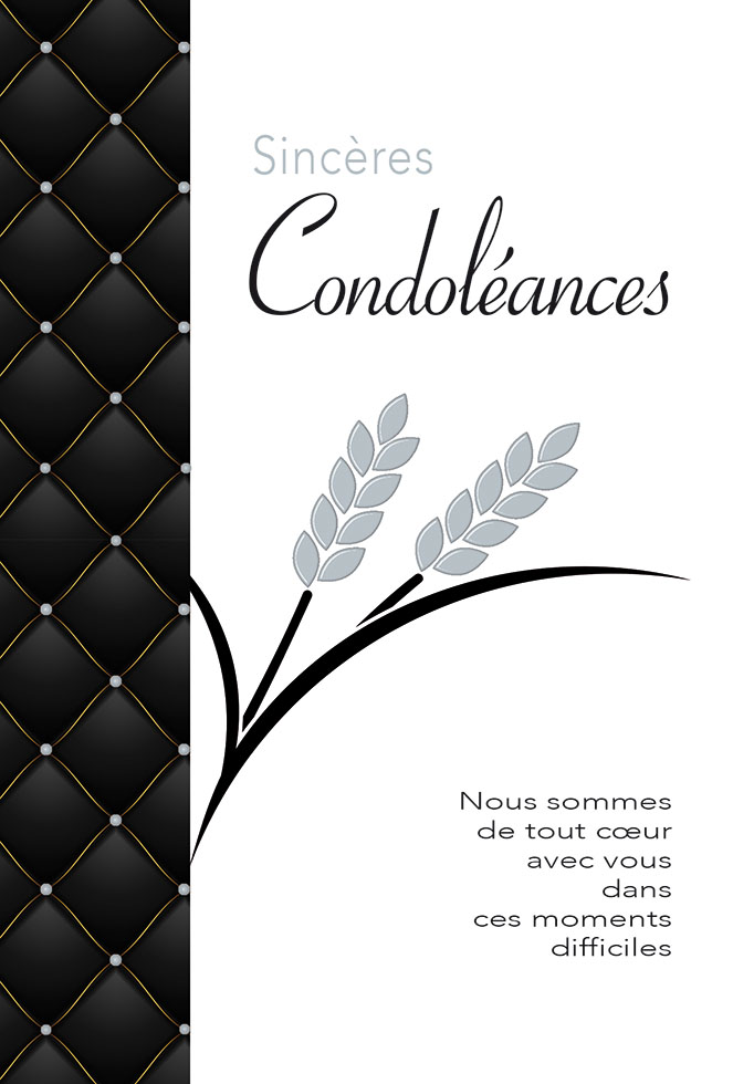  CI CONDO 12*17  EPIS DE BLES DOR.ARGENT /GAUF